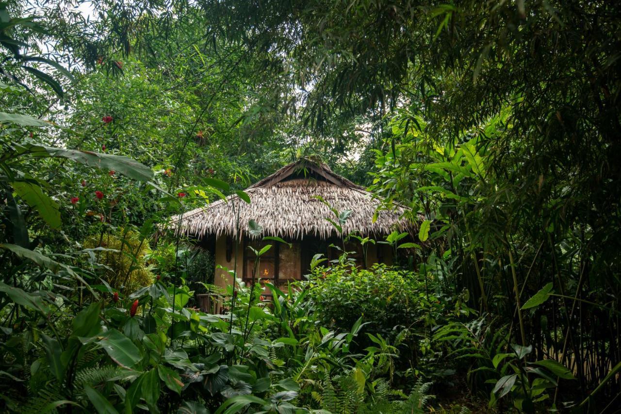 Our Jungle Camp - Eco Resort Phanom Extérieur photo