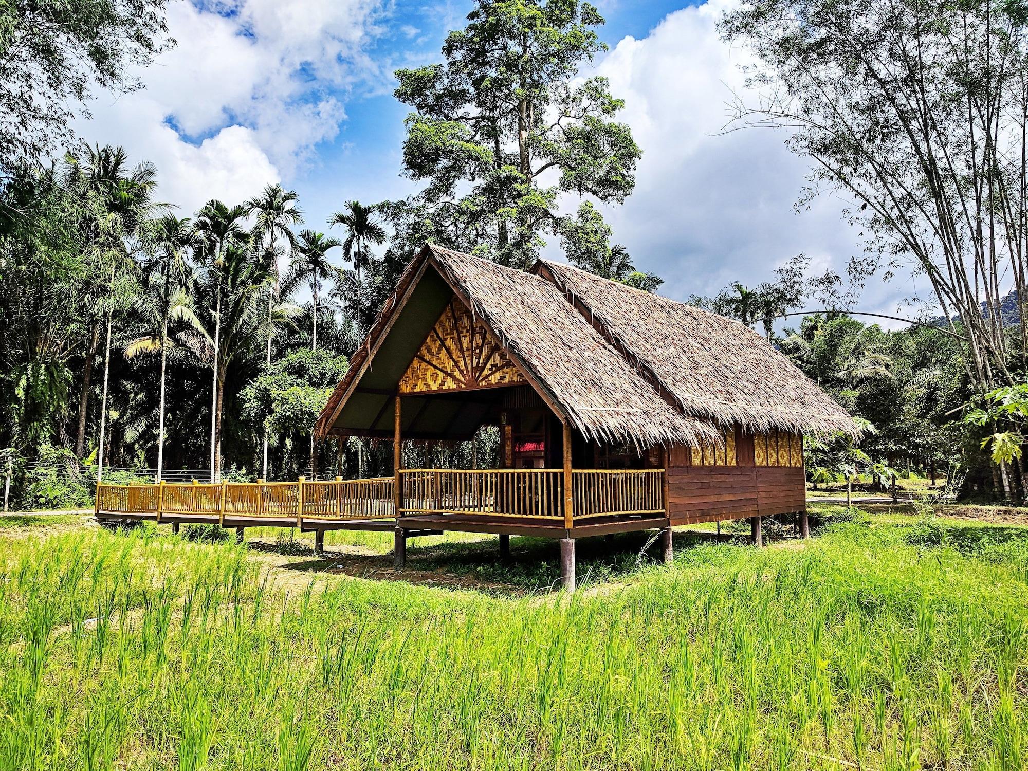 Our Jungle Camp - Eco Resort Phanom Extérieur photo